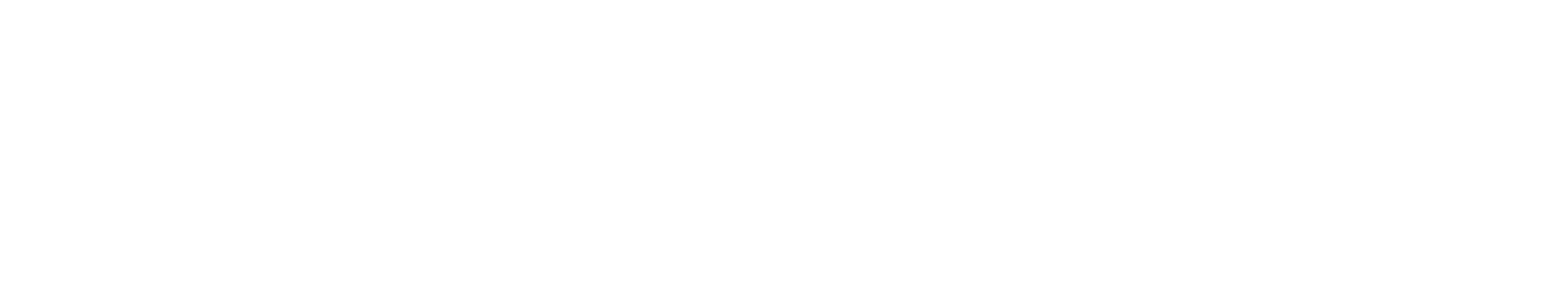 logo-white